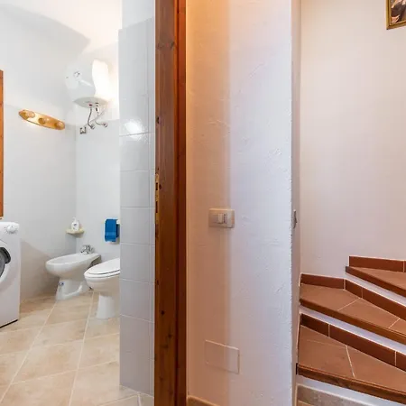 Maya * فيلاّسيمِيوس